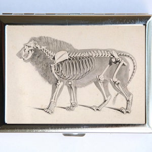 Animal Anatomía León Esqueleto Cigarette Case Cartera Tarjeta de Visita Titular gótico victoriano médico