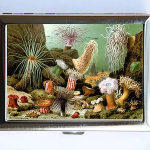 Estuche para cigarrillos con forma de anémona de mar, cartera, tarjetero de visita