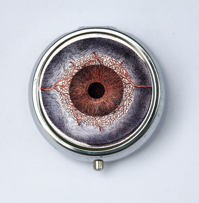 Eye pillbox Pill Case holder box Arteries of the Iris veins Medical Drawing victorian psychobilly gothic punk odd creepy anatomy image 1