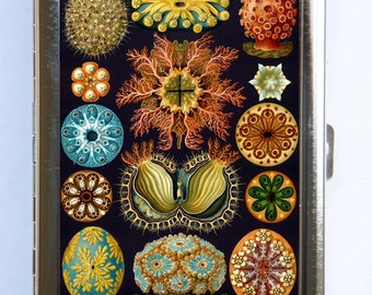 Ascidiae Sea Coral Cigarette Case Wallet Business Card Holder