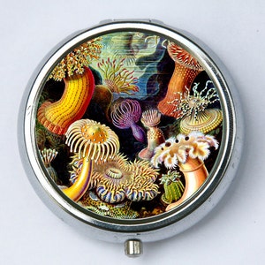Sea anemone PILL case pillbox pill box holder underwater ocean sea nature calm pretty DIY image 1