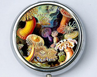 Sea anemone PILL case pillbox pill box holder underwater ocean sea nature calm pretty DIY