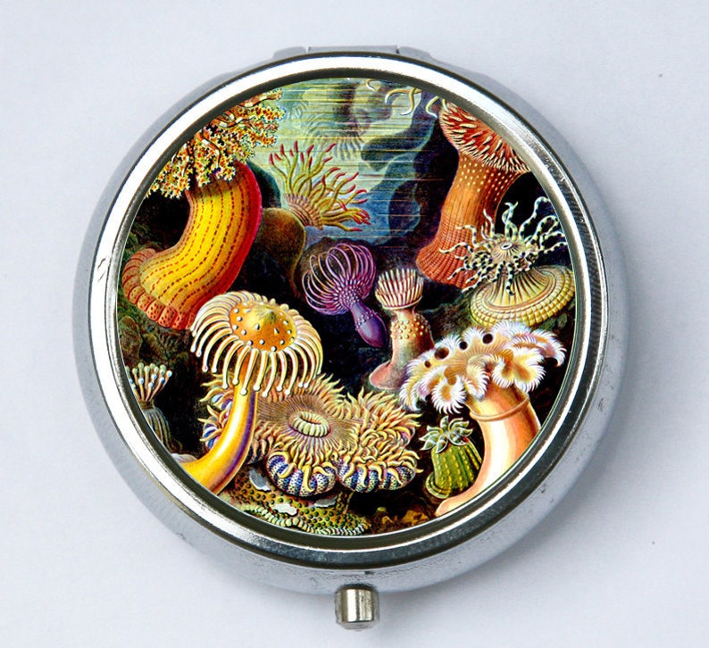 Sea anemone PILL case pillbox pill box holder underwater ocean sea nature calm pretty DIY image 1