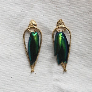 Arched Seasons Enclosed Beetle Wing Earrings image 2