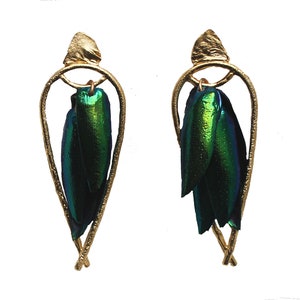 Arched Seasons Enclosed Beetle Wing Earrings image 6