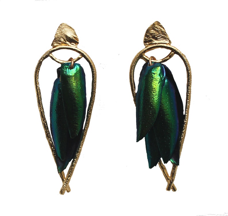 Arched Seasons Enclosed Beetle Wing Earrings image 6