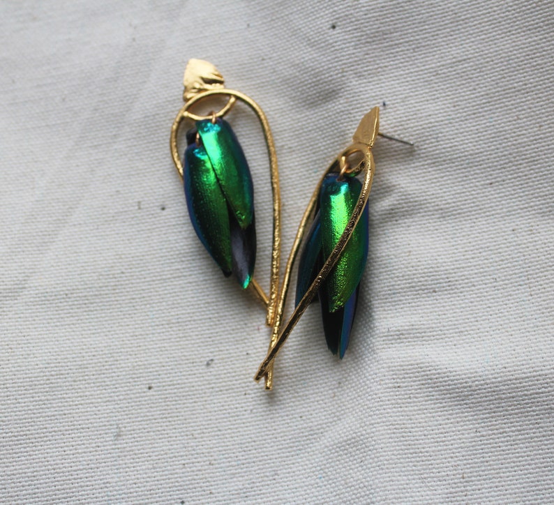 Arched Seasons Enclosed Beetle Wing Earrings image 1