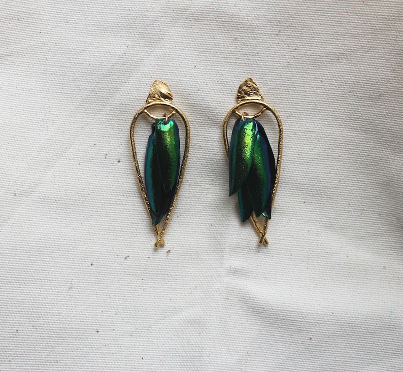 Arched Seasons Enclosed Beetle Wing Earrings image 2