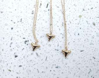 Shark Tooth Necklace in Gold Vermeil or Sterling Silver, Tiny Shark Tooth, Layering Necklace