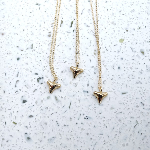 Shark Tooth Necklace in Gold Vermeil or Sterling Silver, Tiny Shark Tooth, Layering Necklace