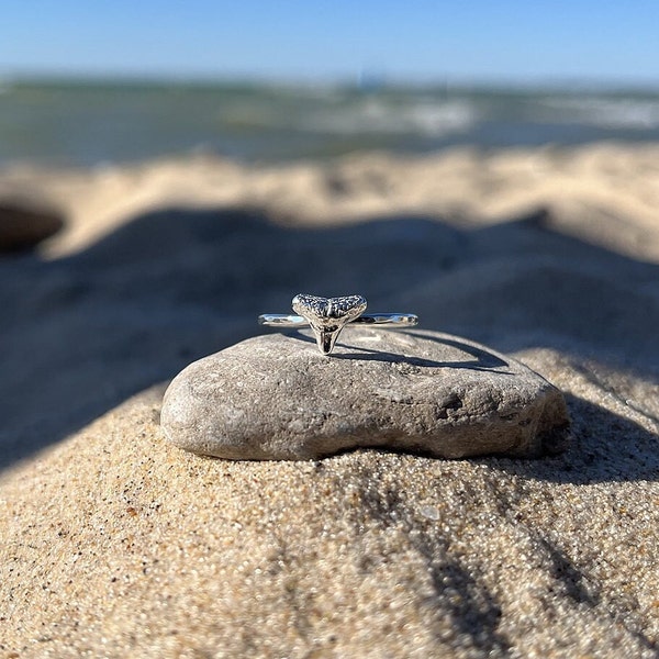 Shark Tooth Ring, Sterling Silver or Brass, Delicate Hammered Band