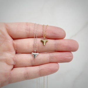 Shark Tooth Necklace in Gold Vermeil or Sterling Silver, Tiny Shark Tooth, Layering Necklace sterling silver