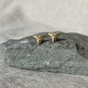 May include: A pair of gold shark tooth earrings. The earrings are small and delicate, and they are perfect for adding a touch of whimsy to any outfit.