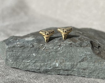 May include: A pair of gold shark tooth earrings. The earrings are small and delicate, and they are perfect for adding a touch of whimsy to any outfit.