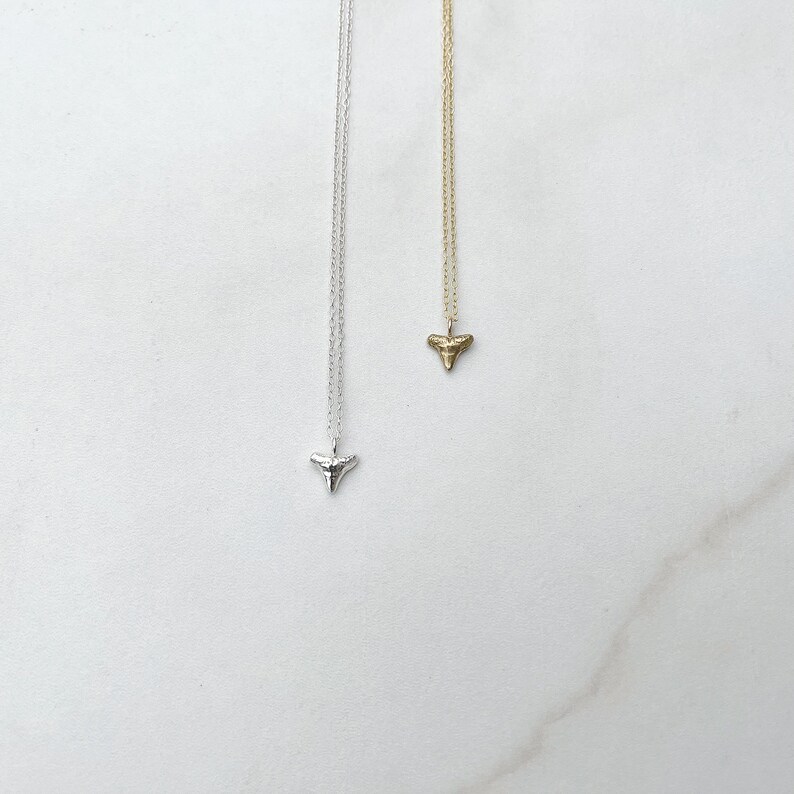 Shark Tooth Necklace in Gold Vermeil or Sterling Silver, Tiny Shark Tooth, Layering Necklace image 4