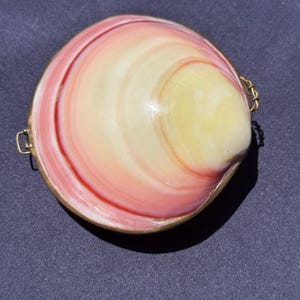 Vintage Clamshell Trinket Box Pill Box