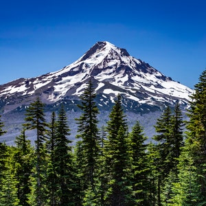 Mt Hood