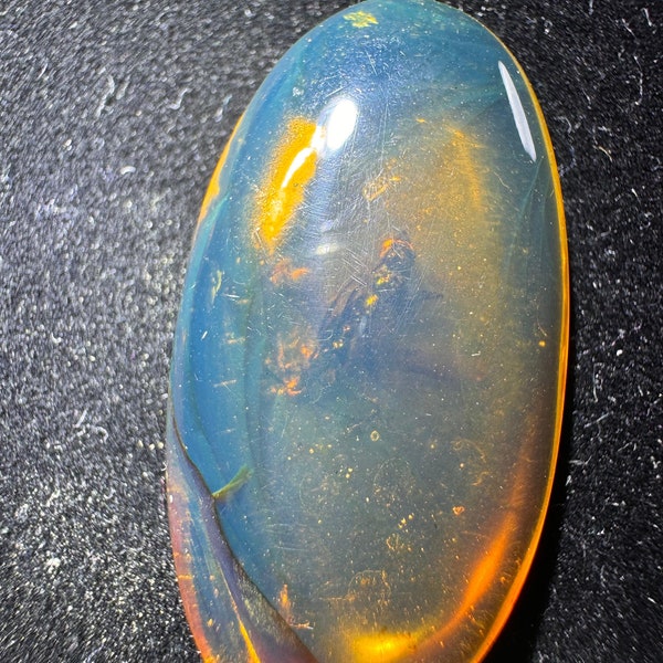 One-of-a-kind blue amber fossil