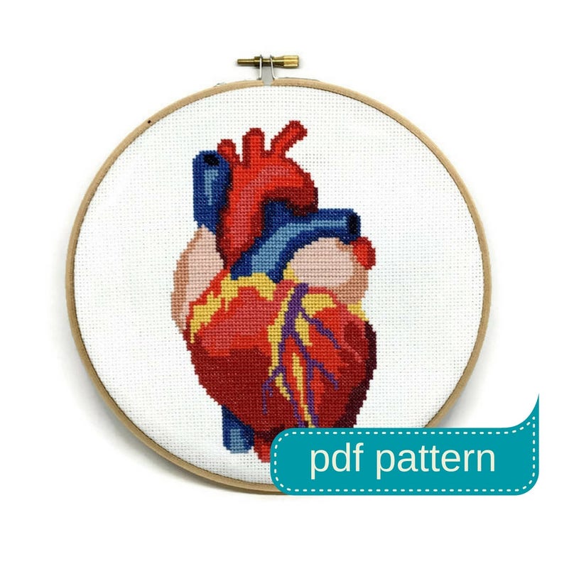 Anatomical Heart Cross Stitch Pattern Heart Embroidery Pattern Anatomical Cross Stitch Heart Crosstitch Heart Needlepoint Pattern 画像 1