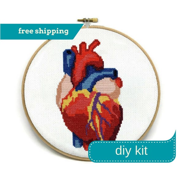 Anatomical Heart Cross Stitch Kit DIY, 8 Inches - Needlepoint Kit, Anatomical Embroidery, Heart Embroidery, Embroidery Kit