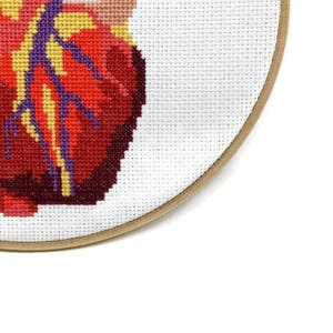Anatomical Heart Cross Stitch Pattern Heart Embroidery Pattern Anatomical Cross Stitch Heart Crosstitch Heart Needlepoint Pattern 画像 3