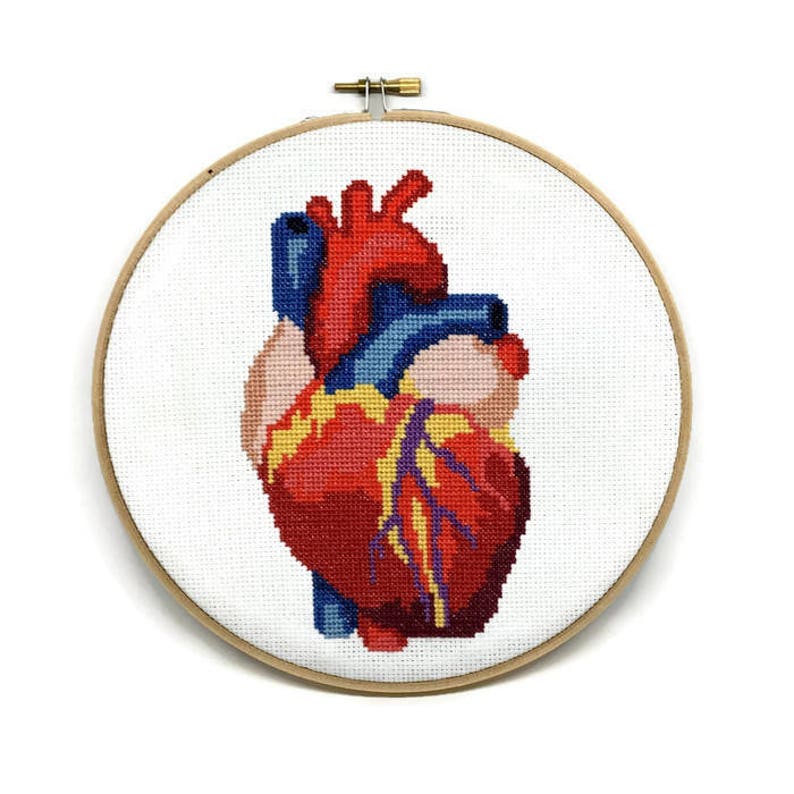 Anatomical Heart Cross Stitch Pattern Heart Embroidery Pattern Anatomical Cross Stitch Heart Crosstitch Heart Needlepoint Pattern image 2