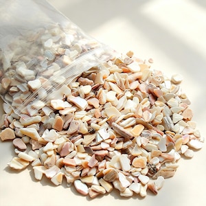 Può includere: Un sacchetto di plastica trasparente richiudibile che versa una grande collezione di piccoli frammenti di conchiglia irregolari e levigati in tonalità bianco, crema, pesca e rosa tenue, con una consistenza liscia e una lucentezza naturale.