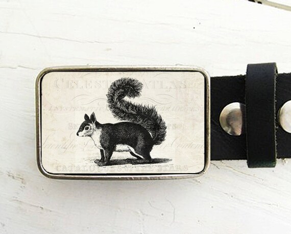 Creature belt top