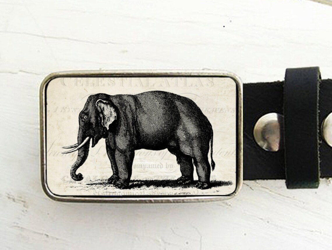 Elephant Belt Buckle Etsy