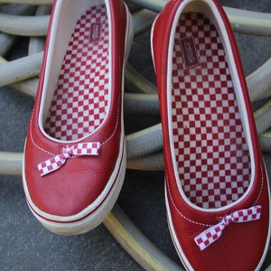 costume vans costume vans