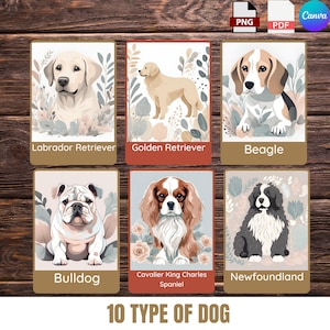 Digital Dog Breed Flash Cards | Set of 10 Printable Educational Cards | Instant Download | Home School Resource, Pet Learning