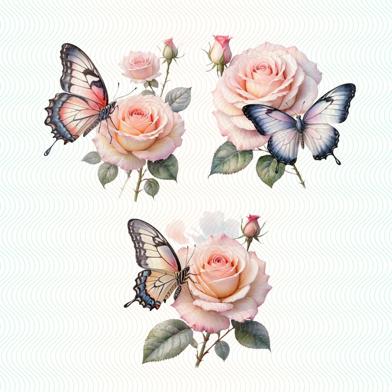 15 Butterfly and Roses Clipart High-quality Pngs Digital Download ...