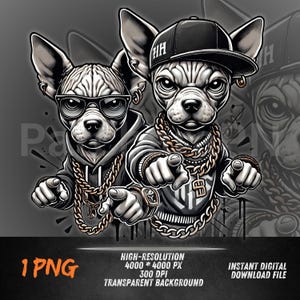 Gangsta Sphynx Cat PNG | Urban Hip Hop Cat DTF Transfer | Streetwear Hoodie Shirt Sublimation Design