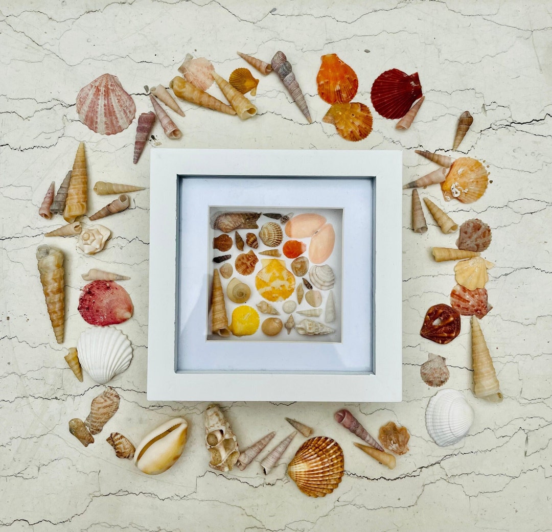 Shells Frame / Beach Sea Art / Sea Decoration / Handmade Shell Art - Etsy