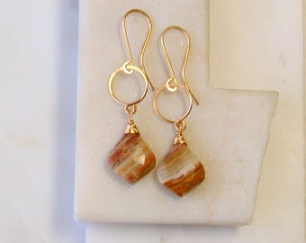 Crazy Lace Agate Gemstone Statement Earrings