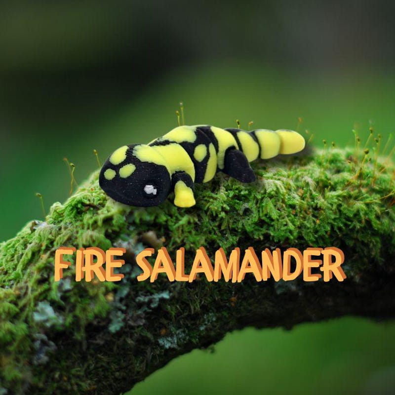 3d Fire Salamander Etsy 3d Fire Salamander Etsy