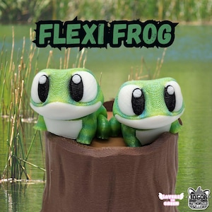May include: Two green and white Flexi Frogs sit in a brown tree trunk. The frogs have large black eyes and are positioned in front of a blurred background of water and reeds. The text "FLEXI FROG" is above the frogs in a green, jagged font.