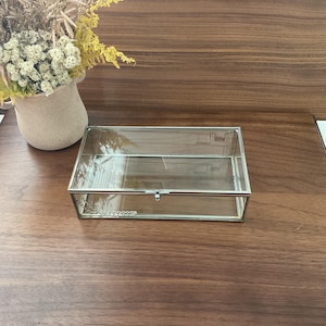 May include: A clear glass display box with a silver metal frame and a hinged lid. The box is sitting on a wooden surface.