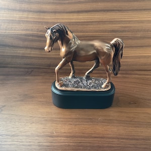 Trofeo personalizzato Tennessee Walking Horse - Premio equestre inciso personalizzato / Premio per spettacoli equestri, regalo per cavaliere o allenatore