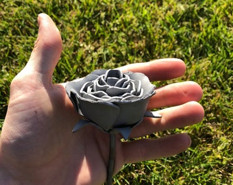 Steel Rose/Roses