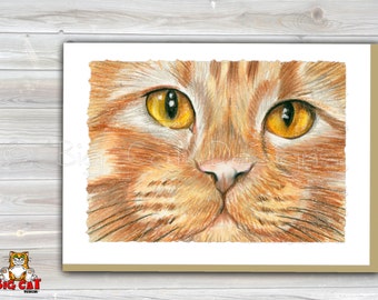 Cat Greeting Card  ORANGE TABBY FACE, 5x7 size. Handmade note card signed by the artist- blank inside