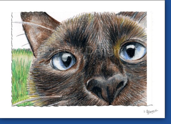 Cat Card Whatcha Doing Closeup Siamese Cat 5x7 Size Etsy