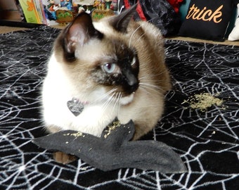 Batnip bat shaped cat nip toy (black)