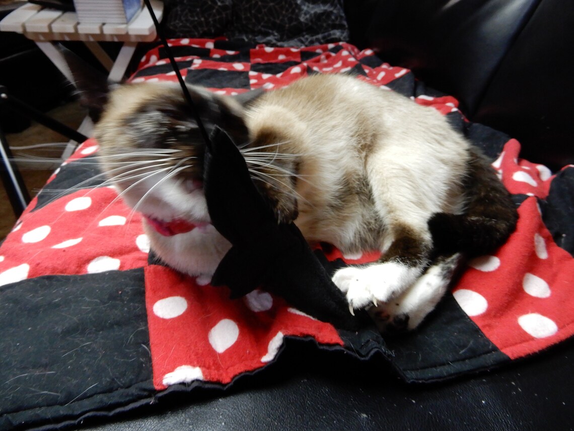 Flying Batnip Catnip Toy Bat on a Stick Fishing Pole Etsy