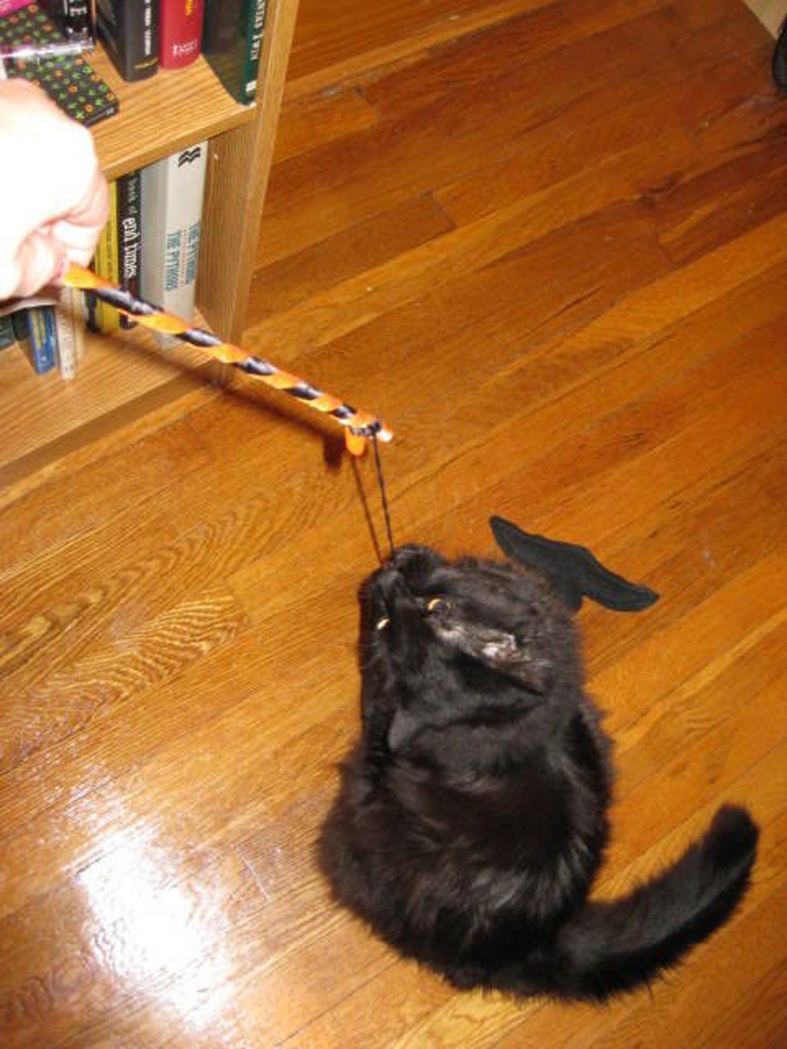 Trick or treat Flying Batnip catnip toy bat on a stick Etsy