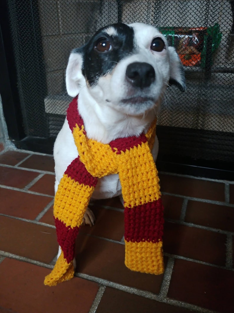 Gold Burgundy dog Scarf image 1