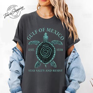 Gulf of Mexico Retro Turtle Sweatshirt, Stay Salty and Resist Comfort Colors, Democrat T-shirt, Gulf of Mexico est 1550, Birthday Hoodie