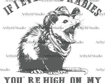 If I Ever Get Rabies You're High On My Bitin' List Png, Funny Raccoon Vintage Design Png, Sarcastic Humor Snarky png, Attitude Sarcasm png