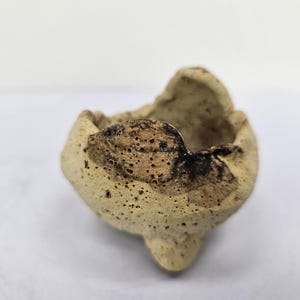Puede incluir: Un pequeño cuenco de cerámica hecho a mano con una superficie texturizada única. El cuenco es de color beige claro con detalles en marrón oscuro y una base de tres patas. El interior es marrón oscuro con una textura porosa. El cuenco probablemente se utiliza con fines decorativos.