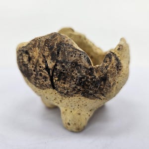 Puede incluir: Un pequeño cuenco de cerámica hecho a mano con una forma orgánica única. El cuenco presenta un exterior beige claro con acentos texturizados de color marrón oscuro. El interior es liso, mientras que el exterior tiene una textura rugosa y porosa. El cuenco tiene tres pequeños pies.